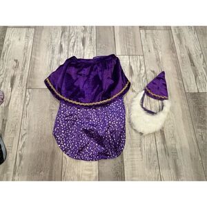 Hyde and Eek dog/pet purple, wizard Halloween costume size L